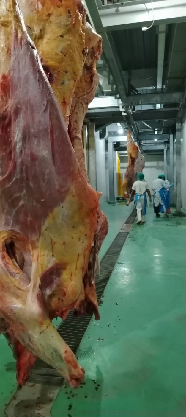 Abattoir