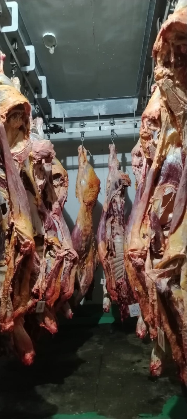 Beef